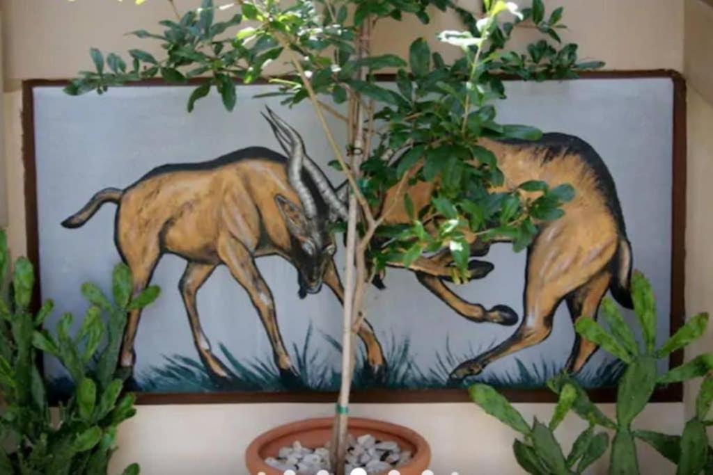 Apartment With Premium Facilities La Canea Esterno foto